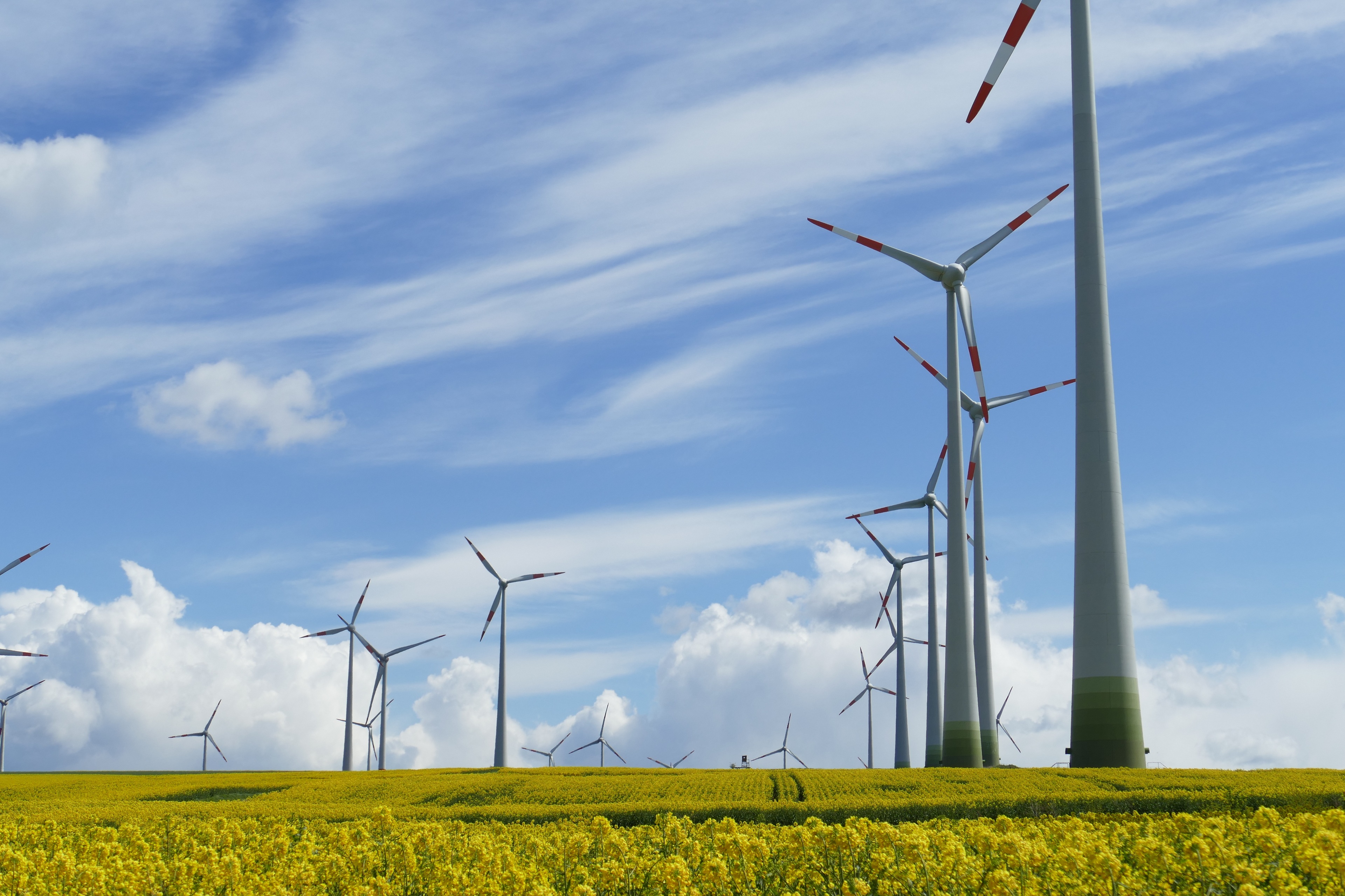 彩神ll购彩大厅-彩神购彩购彩大厅-welcome彩神彩神-彩神8争霸登录入口-网信welcome彩票彩神-彩神welcome购彩中心-彩神8购彩-彩神争8谁与争锋app总线桥在风电系统的应用